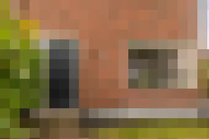 Wyger Martensstrjitte 51 Damwâld thumbnail 9