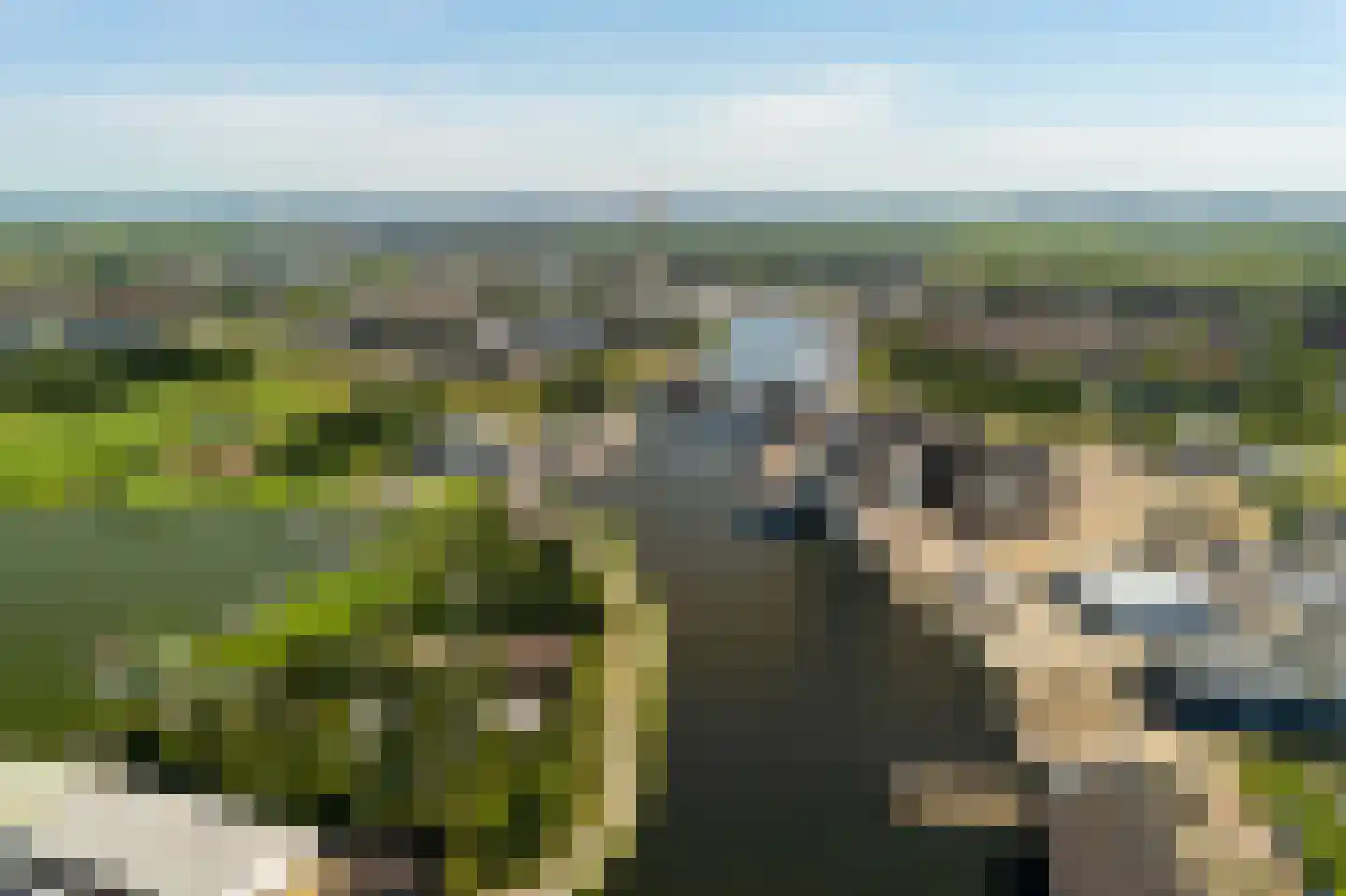 Wylde Swan 13 Wormerveer thumbnail 62
