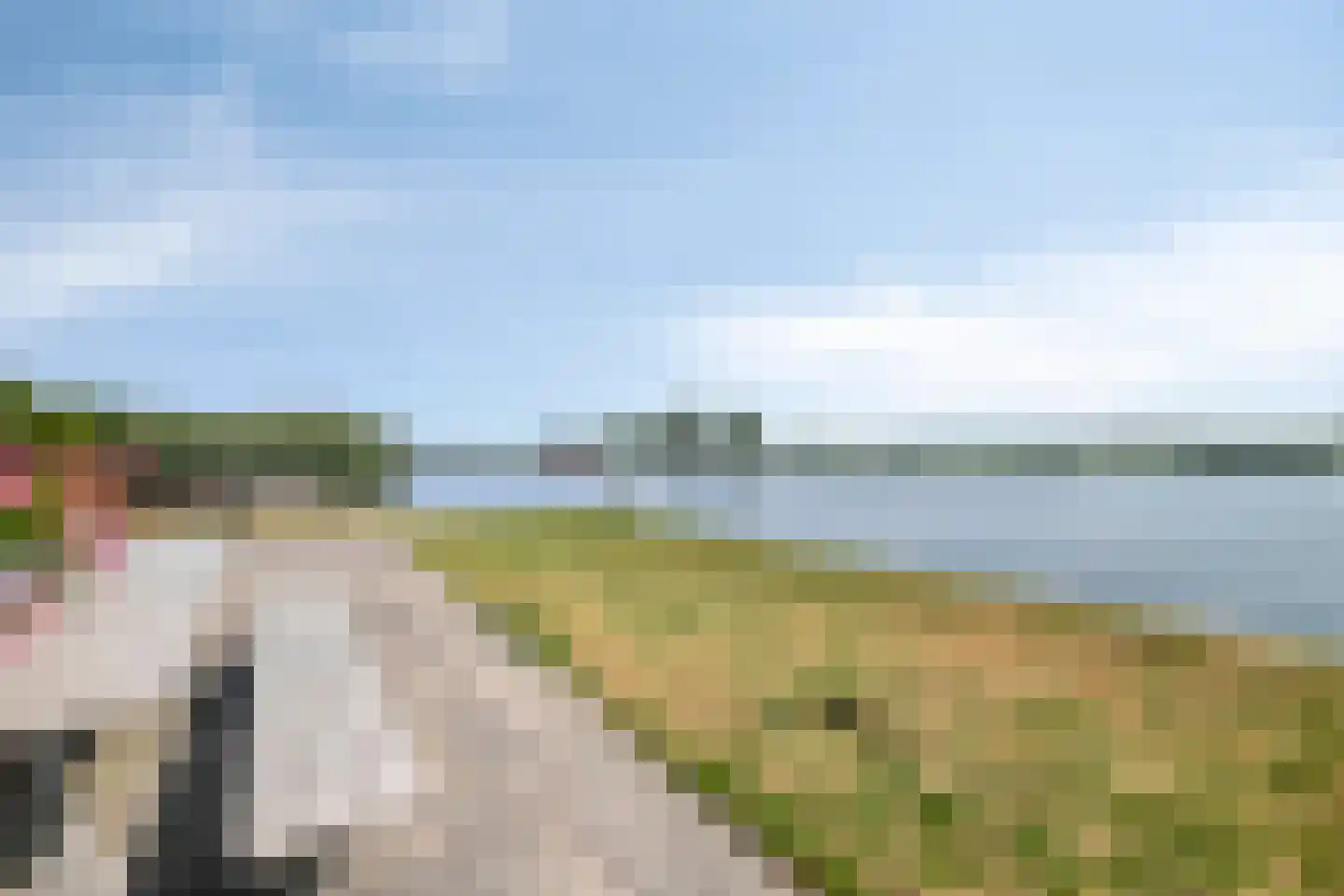 Wylde Swan 13 Wormerveer thumbnail 63