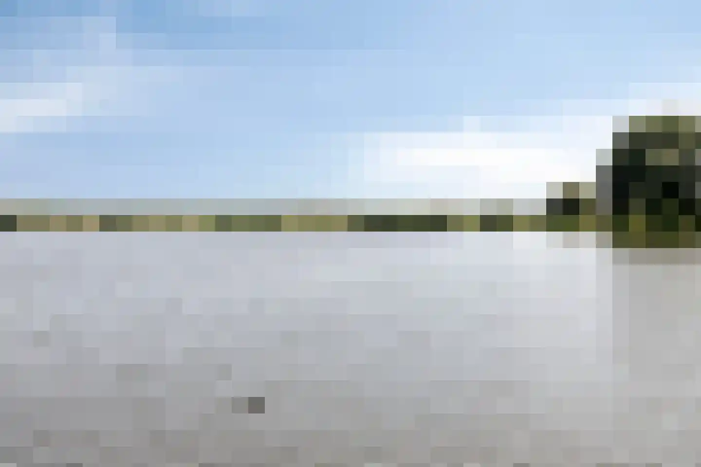 Wylde Swan 13 Wormerveer thumbnail 64