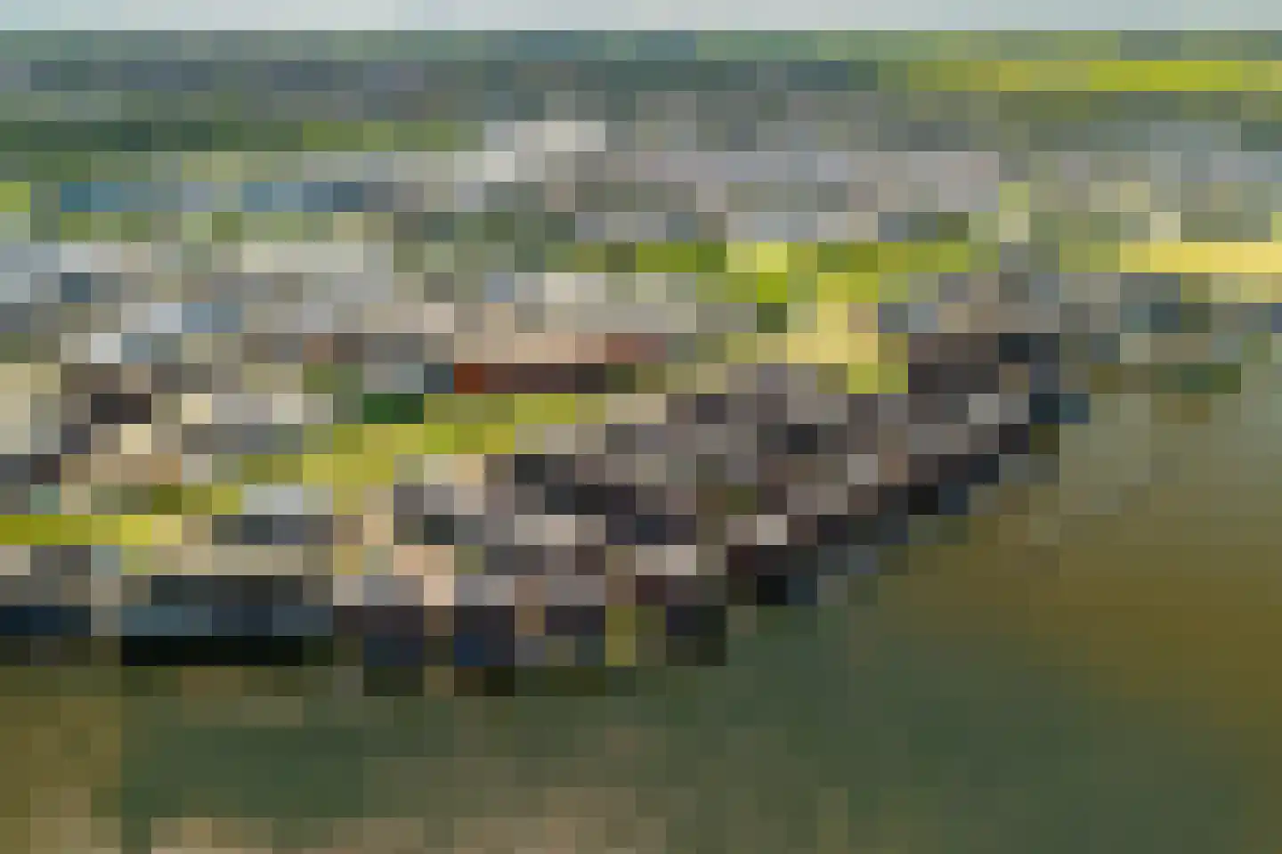 Wylde Swan 13 Wormerveer thumbnail 7
