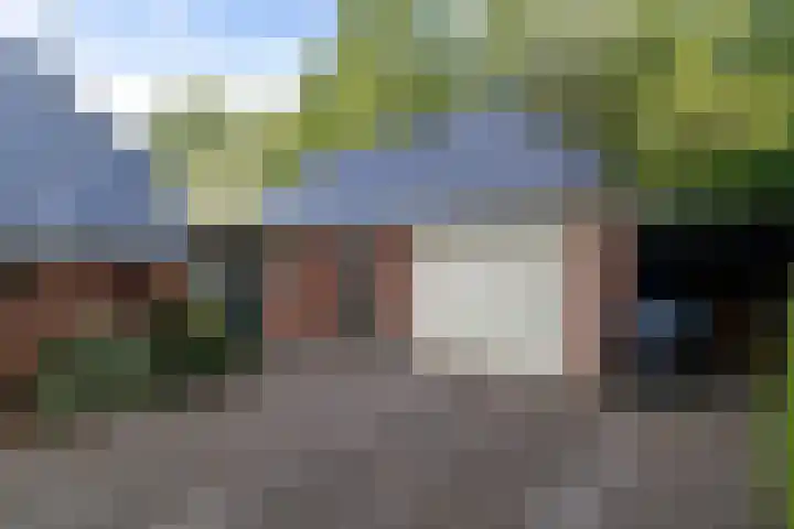 Wyldpaed 8 Kollumersweach thumbnail 13