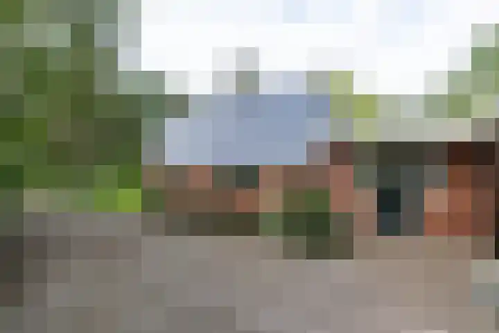 Wyldpaed 8 Kollumersweach thumbnail 14