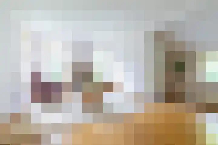 Wyldpaed 8 Kollumersweach thumbnail 16
