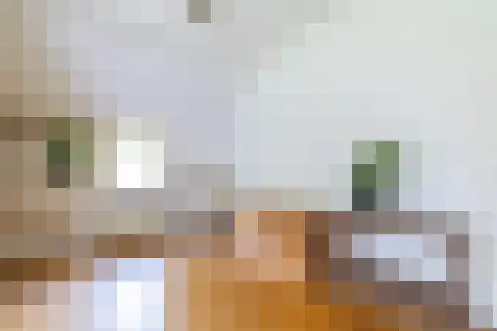 Wyldpaed 8 Kollumersweach thumbnail 20