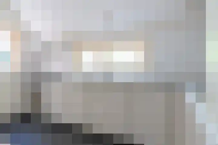 Wyldpaed 8 Kollumersweach thumbnail 23