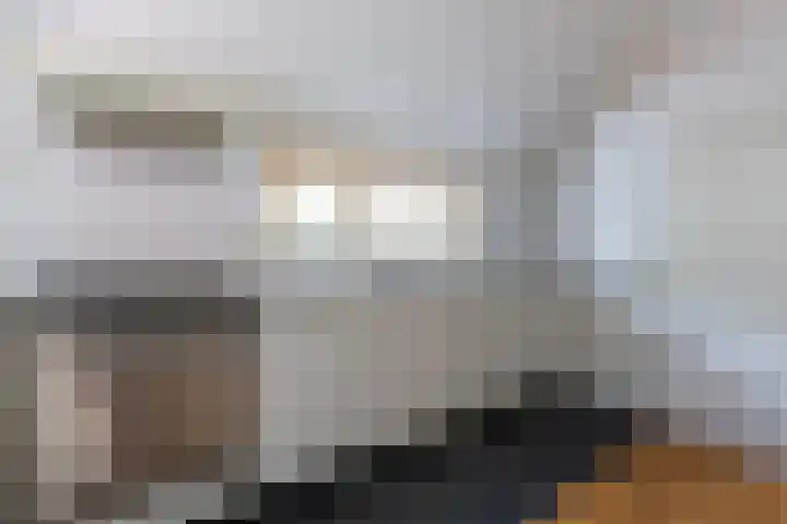 Wyldpaed 8 Kollumersweach thumbnail 24