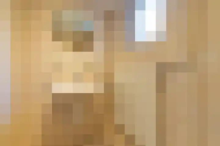 Wyldpaed 8 Kollumersweach thumbnail 32