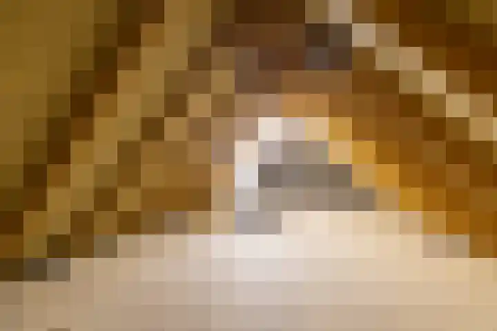 Wyldpaed 8 Kollumersweach thumbnail 37
