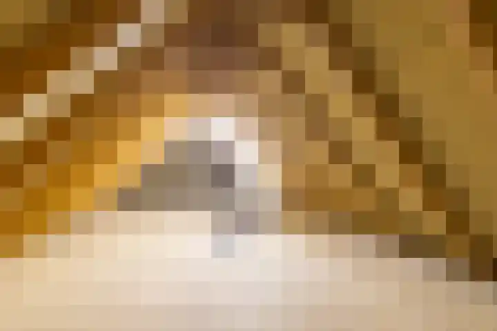 Wyldpaed 8 Kollumersweach thumbnail 38
