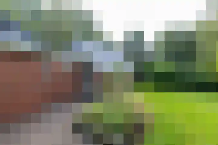 Wyldpaed 8 Kollumersweach thumbnail 39