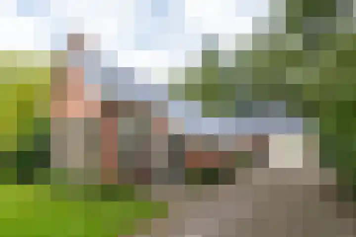 Wyldpaed 8 Kollumersweach thumbnail 4