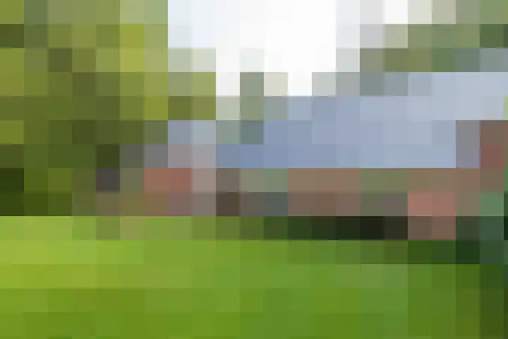 Wyldpaed 8 Kollumersweach thumbnail 40
