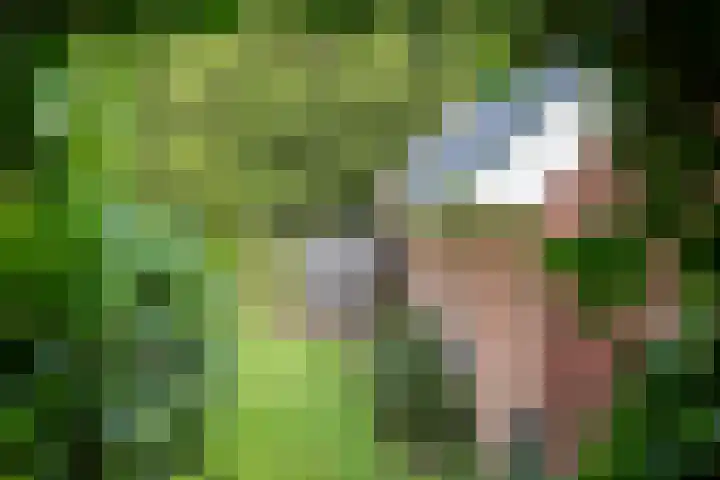 Wyldpaed 8 Kollumersweach thumbnail 42