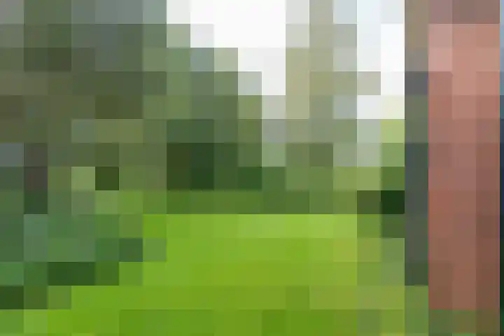 Wyldpaed 8 Kollumersweach thumbnail 44