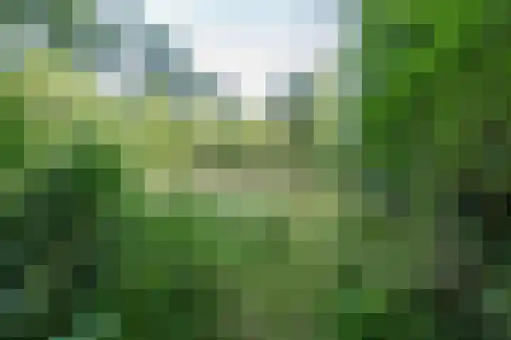 Wyldpaed 8 Kollumersweach thumbnail 50