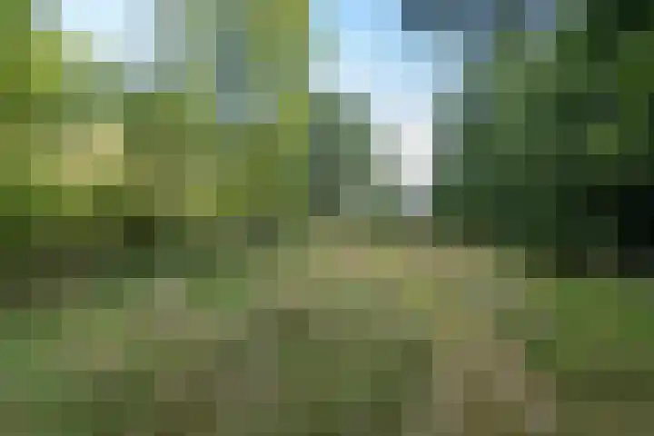 Wyldpaed 8 Kollumersweach thumbnail 53
