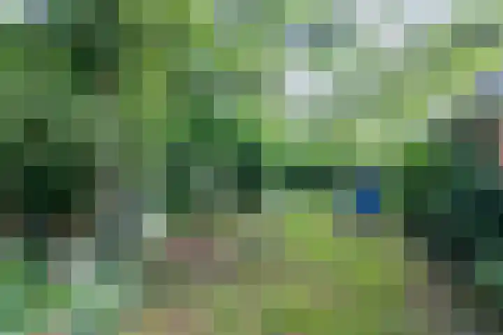 Wyldpaed 8 Kollumersweach thumbnail 61