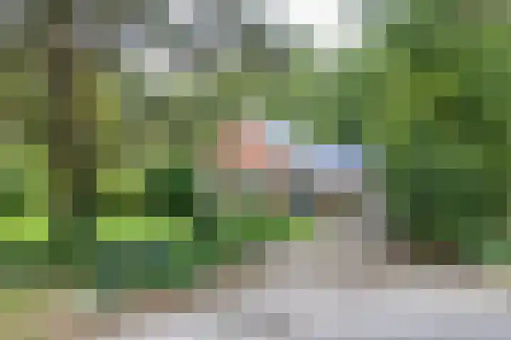 Wyldpaed 8 Kollumersweach thumbnail 63