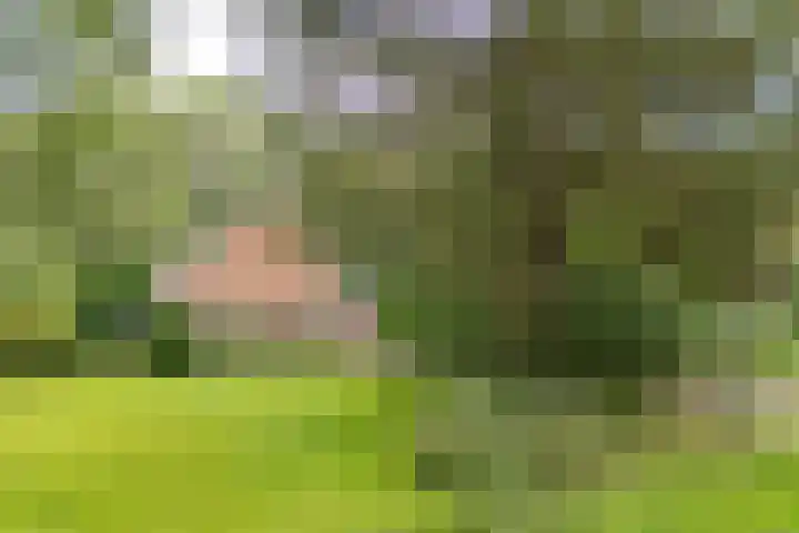 Wyldpaed 8 Kollumersweach thumbnail 64