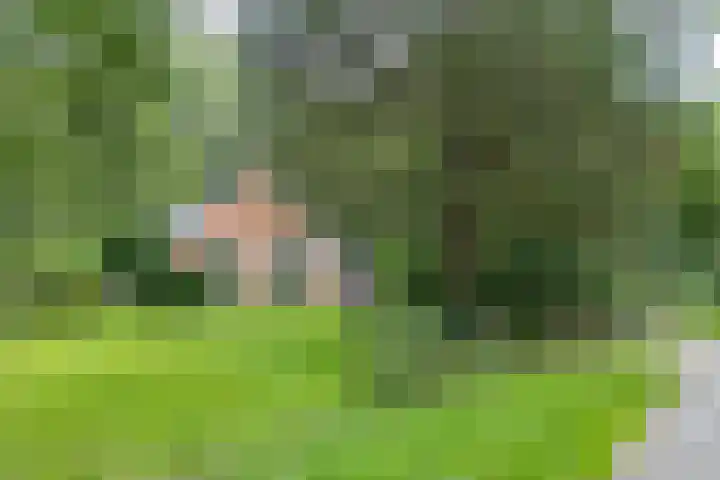 Wyldpaed 8 Kollumersweach thumbnail 65
