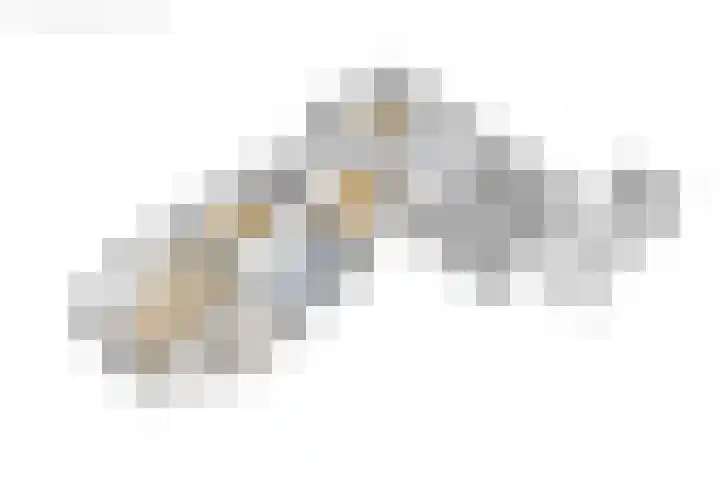 Wyldpaed 8 Kollumersweach thumbnail 69
