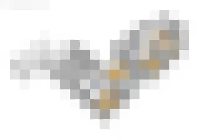 Wyldpaed 8 Kollumersweach thumbnail 71