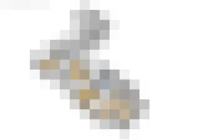 Wyldpaed 8 Kollumersweach thumbnail 72