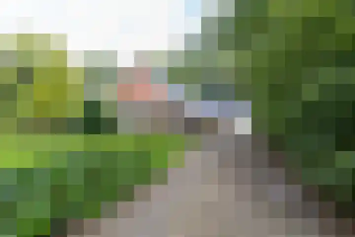 Wyldpaed 8 Kollumersweach thumbnail 83