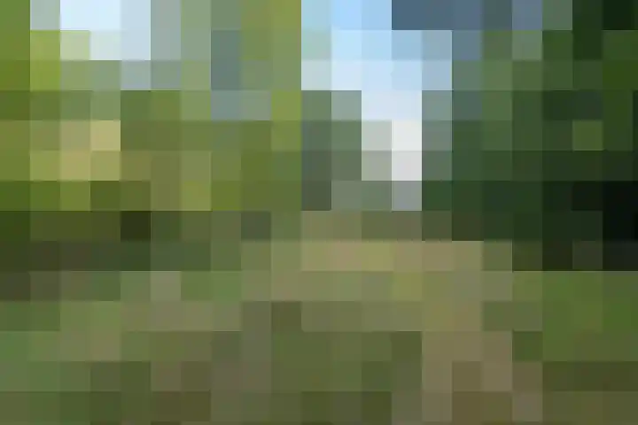 Wyldpaed 8 Kollumersweach thumbnail 9