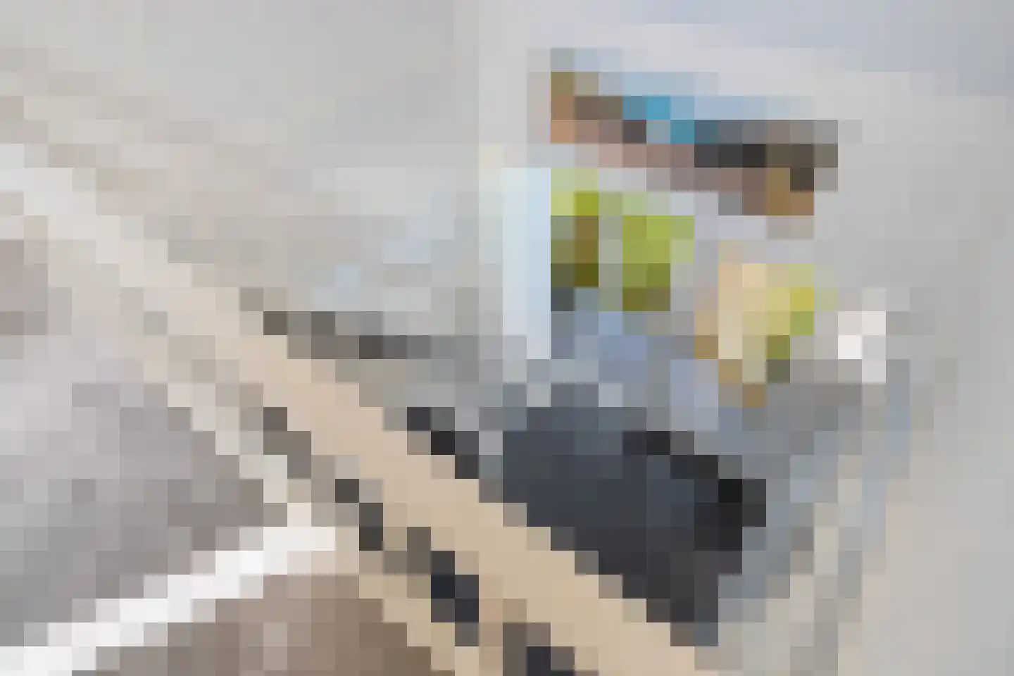 Wyldpaed (Oast) 16 Twijzelerheide thumbnail 30