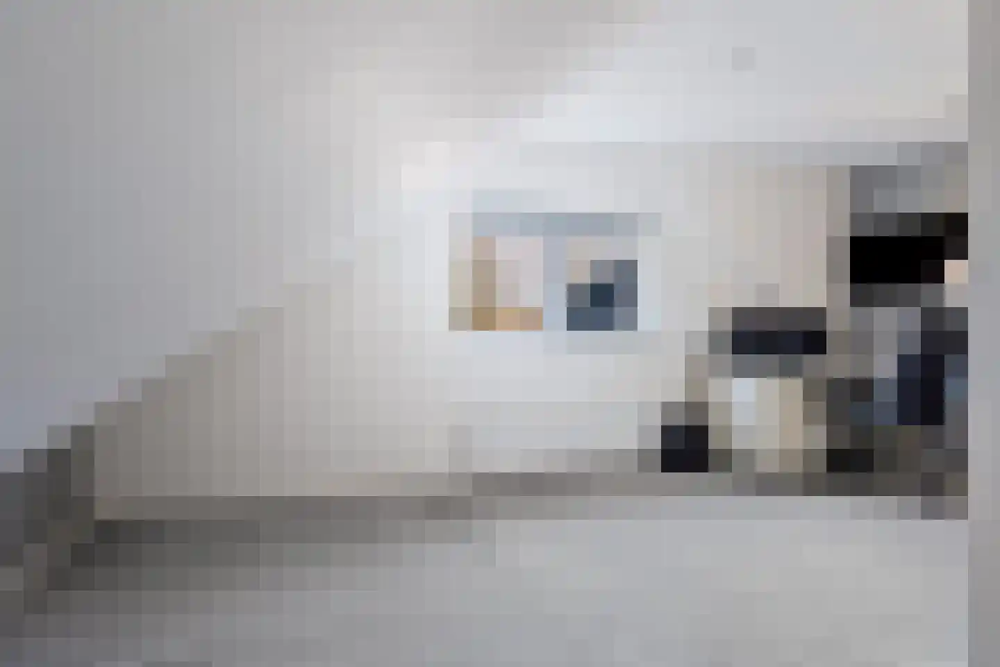 Wyldpaed (Oast) 16 Twijzelerheide thumbnail 36