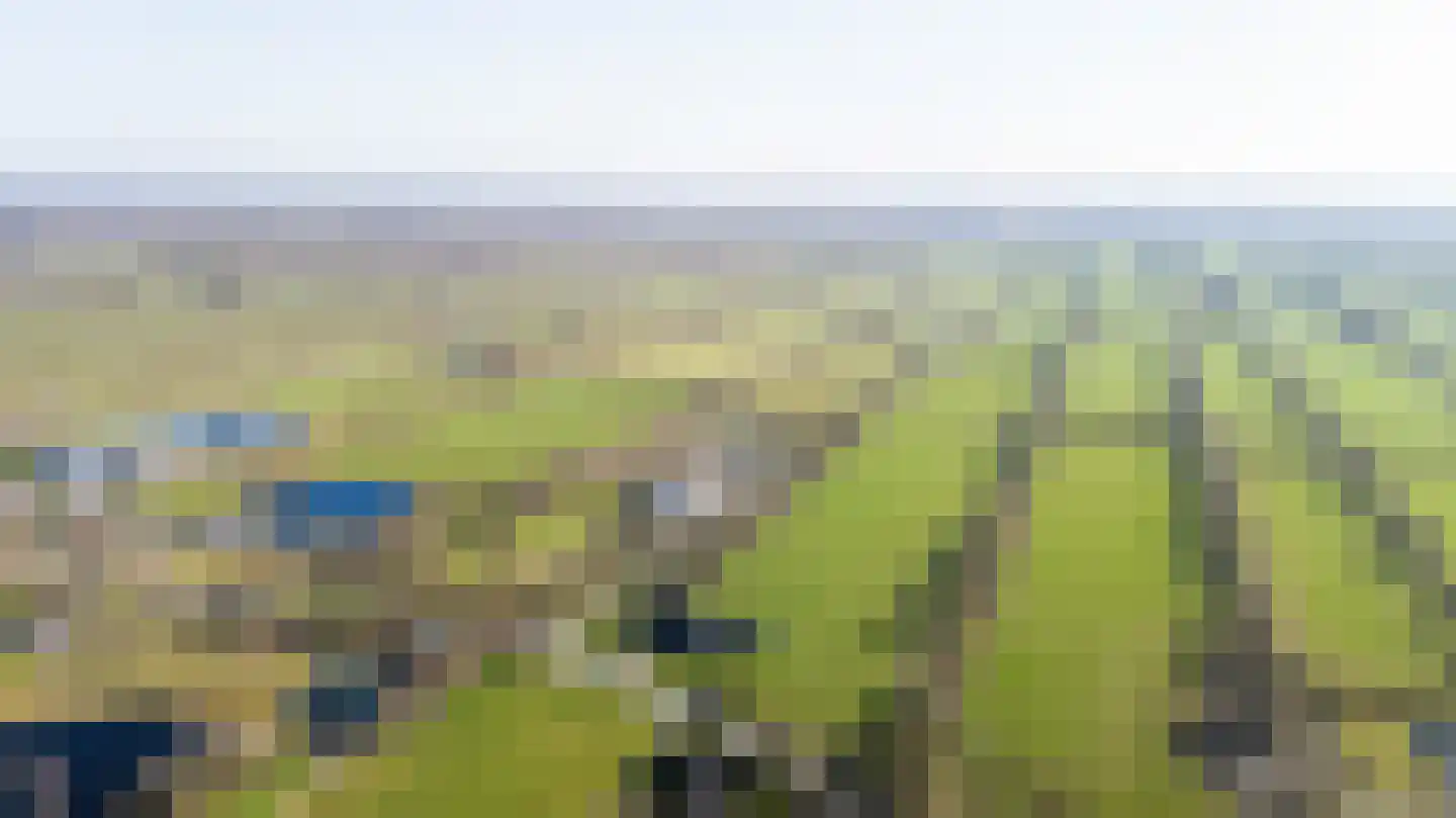 Wyldpaed (Oast) 16 Twijzelerheide thumbnail 4
