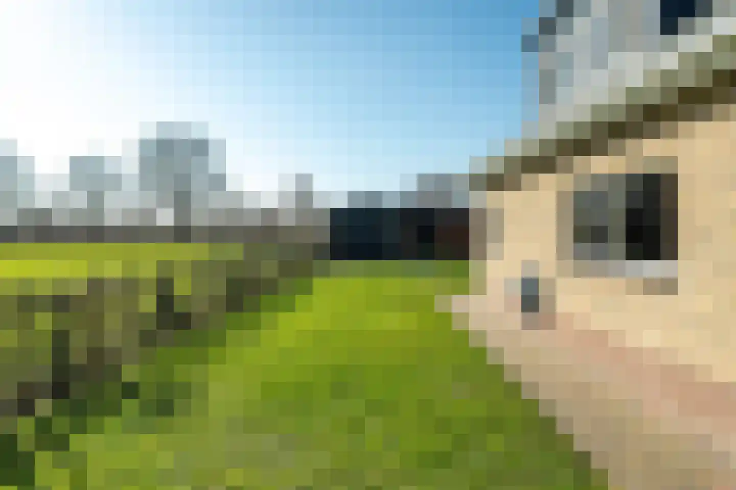 Wyldpaed (Oast) 16 Twijzelerheide thumbnail 45
