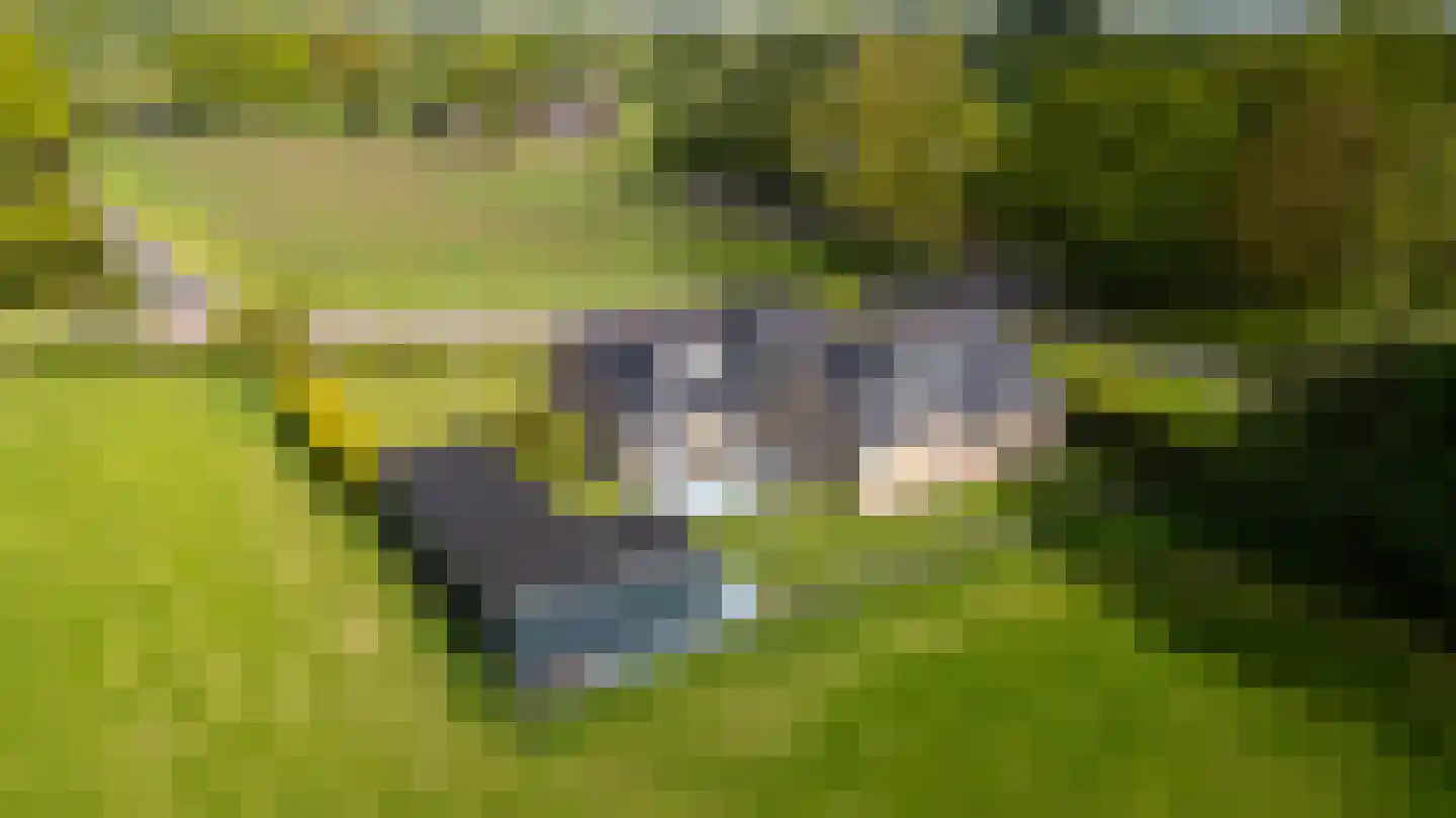 Wyldpaed (Oast) 16 Twijzelerheide thumbnail 5
