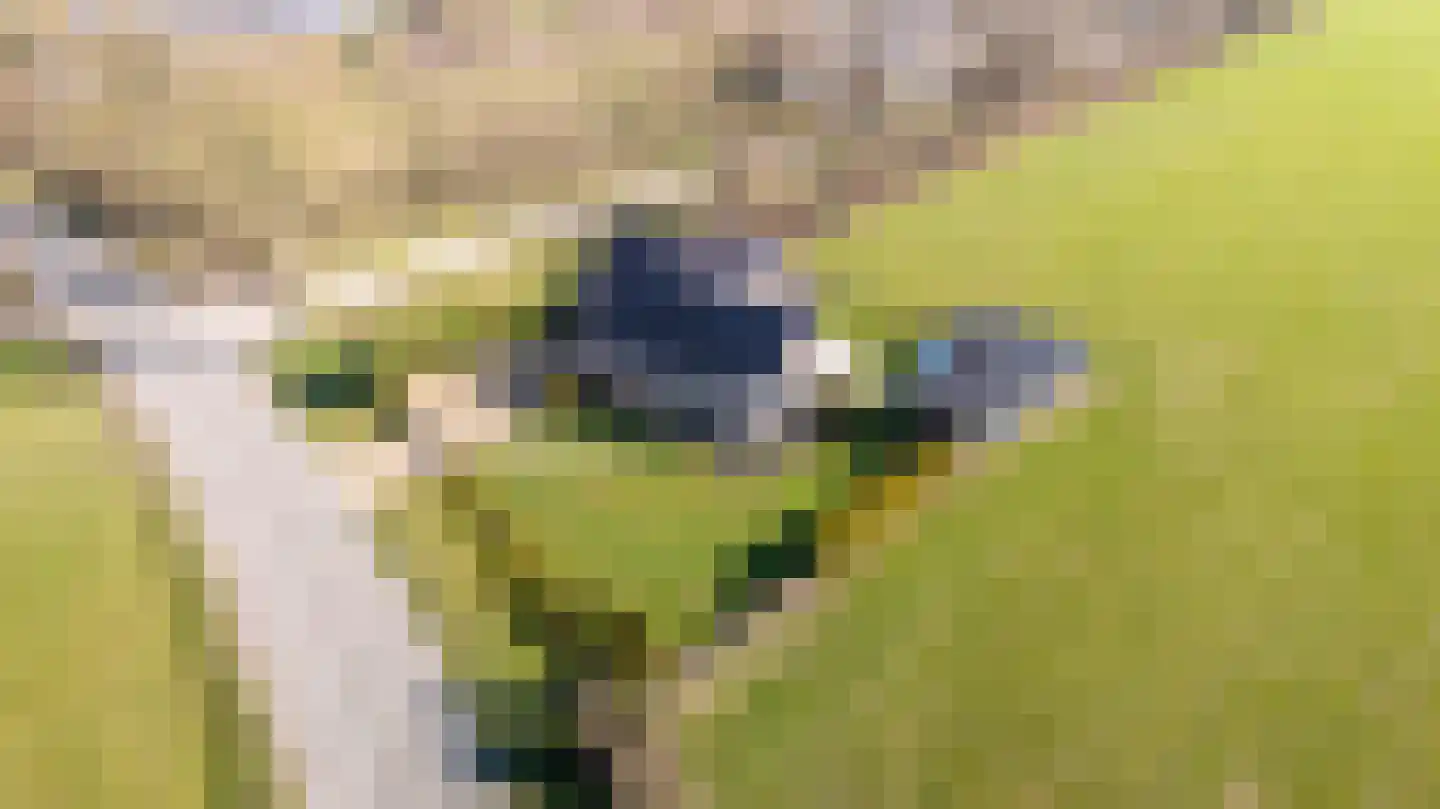 Wyldpaed (Oast) 16 Twijzelerheide thumbnail 5