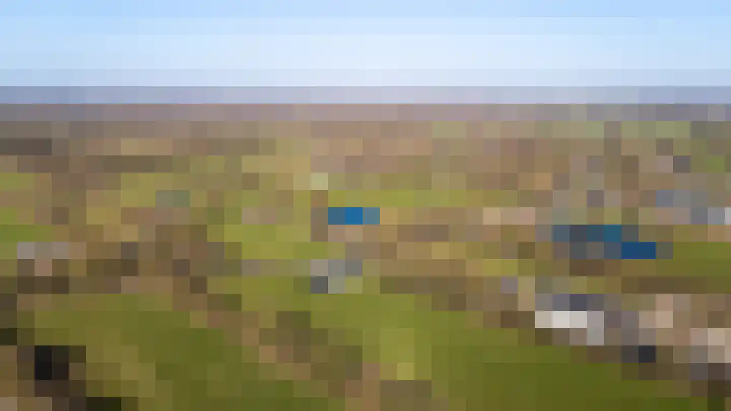 Wyldpaed (Oast) 16 Twijzelerheide thumbnail 50