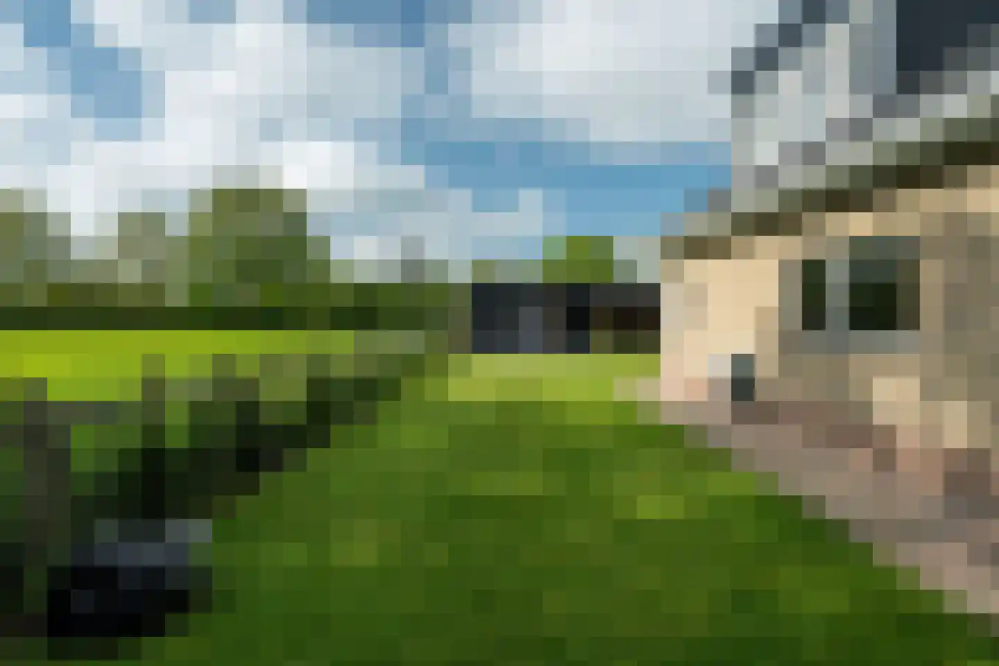 Wyldpaed (Oast) 16 Twijzelerheide thumbnail 51