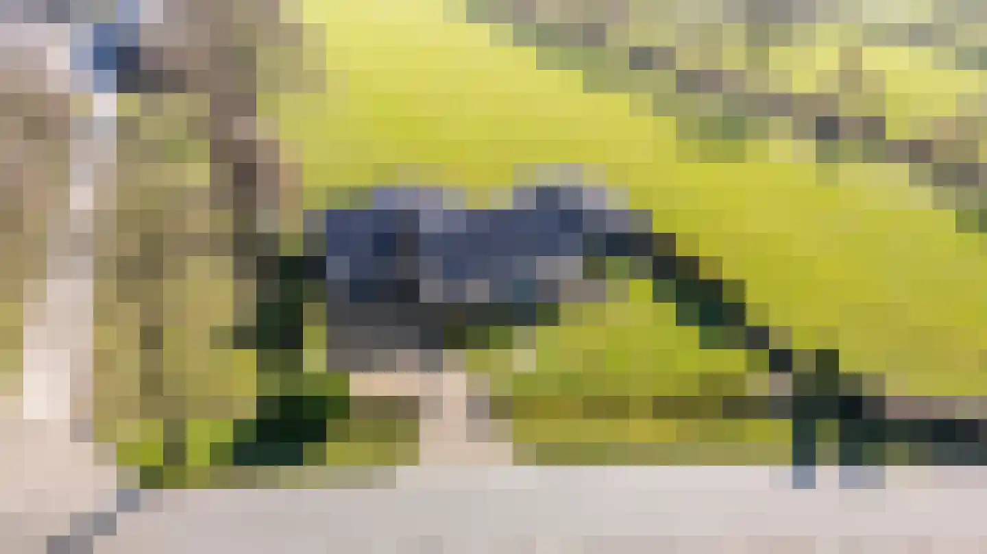 Wyldpaed (Oast) 16 Twijzelerheide thumbnail 52