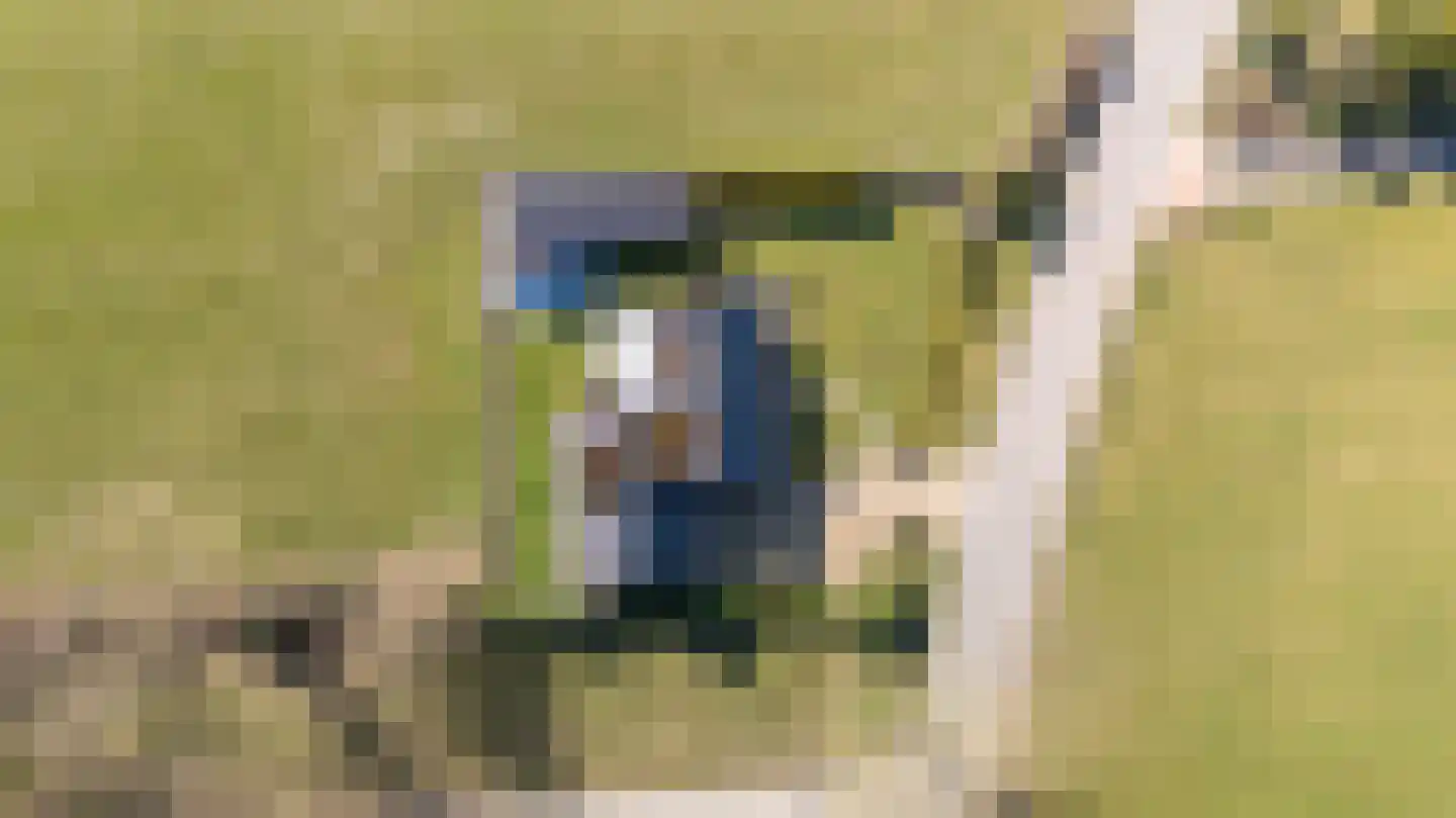 Wyldpaed (Oast) 16 Twijzelerheide thumbnail 53