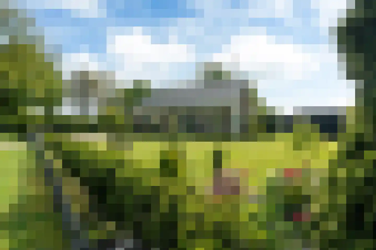 Wyldpaed (Oast) 16 Twijzelerheide thumbnail 55