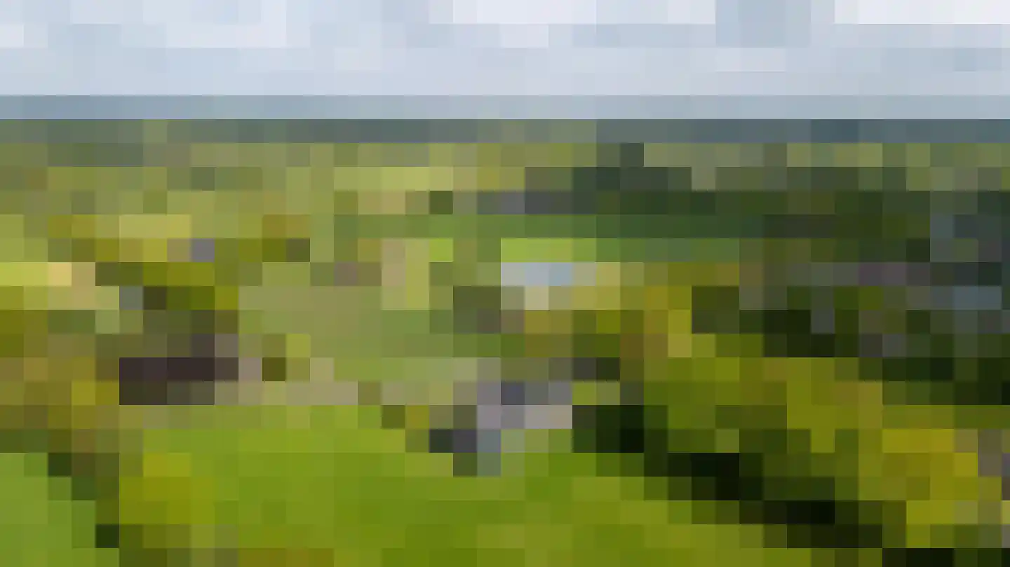 Wyldpaed (Oast) 16 Twijzelerheide thumbnail 56
