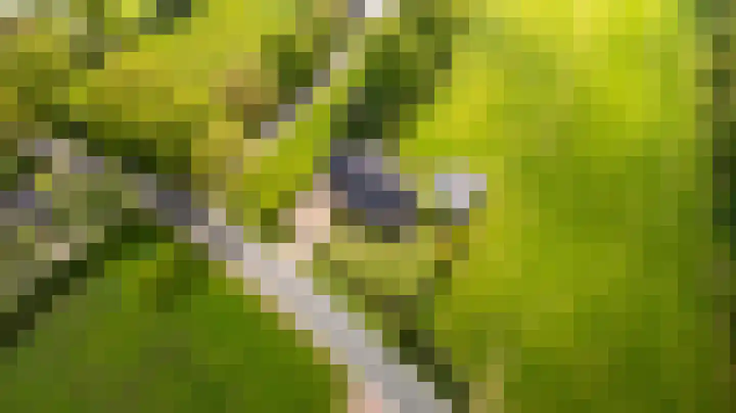 Wyldpaed (Oast) 16 Twijzelerheide thumbnail 57