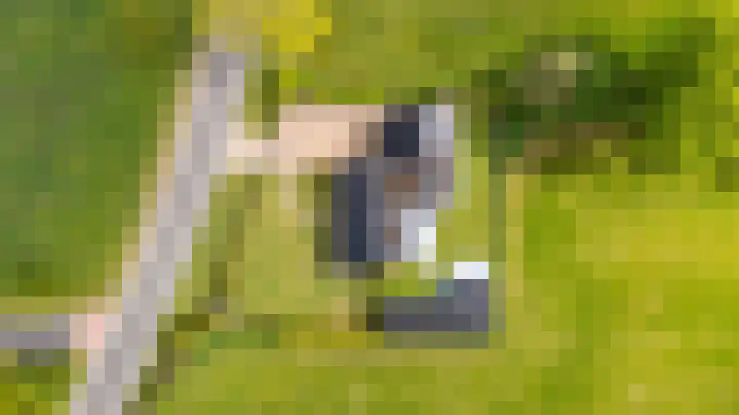 Wyldpaed (Oast) 16 Twijzelerheide thumbnail 58