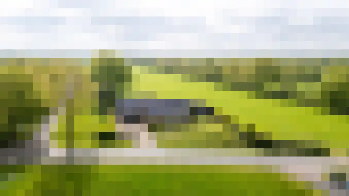 Wyldpaed (Oast) 16 Twijzelerheide thumbnail 59