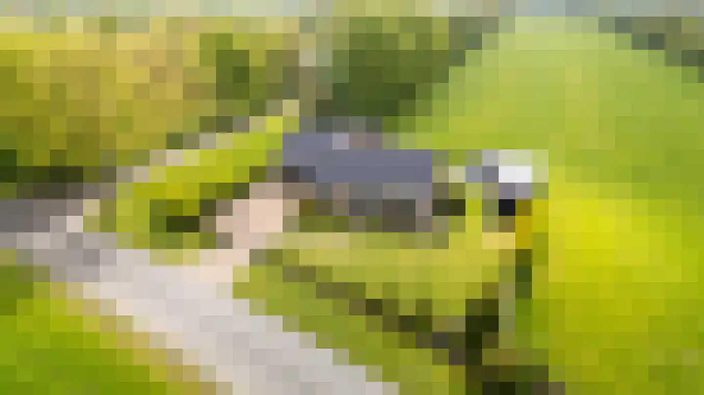 Wyldpaed (Oast) 16 Twijzelerheide thumbnail 6
