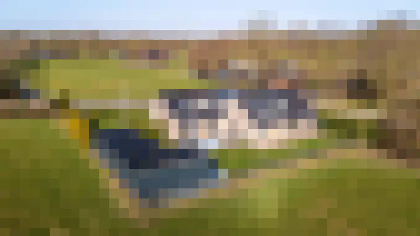 Wyldpaed (Oast) 16 Twijzelerheide thumbnail 6