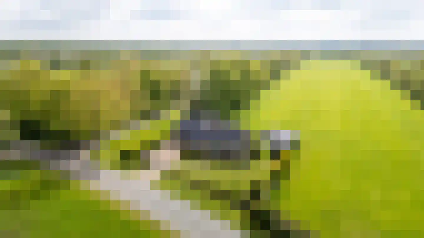 Wyldpaed (Oast) 16 Twijzelerheide thumbnail 60