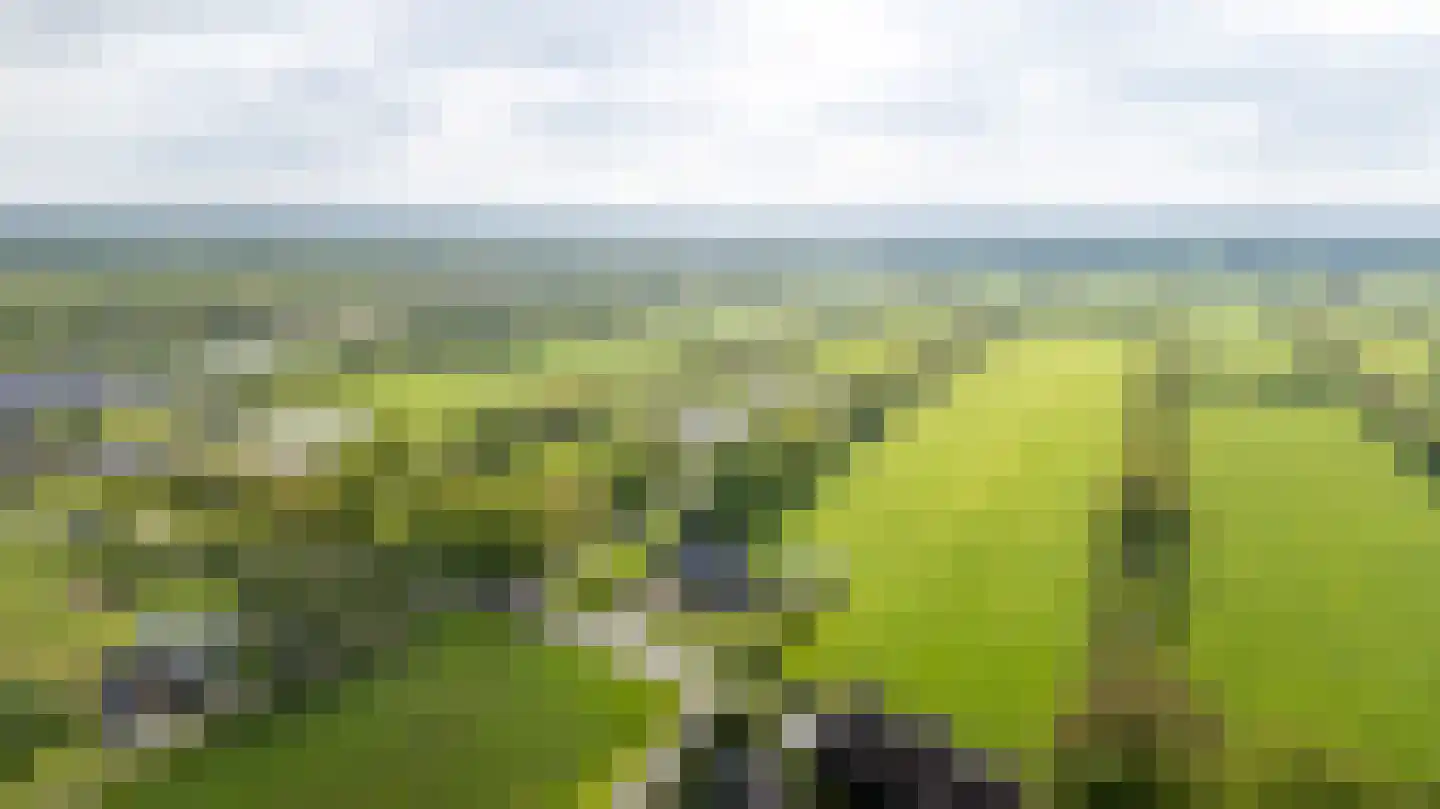 Wyldpaed (Oast) 16 Twijzelerheide thumbnail 61