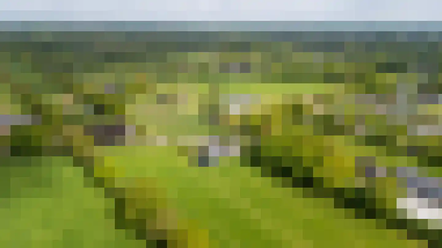 Wyldpaed (Oast) 16 Twijzelerheide thumbnail 7